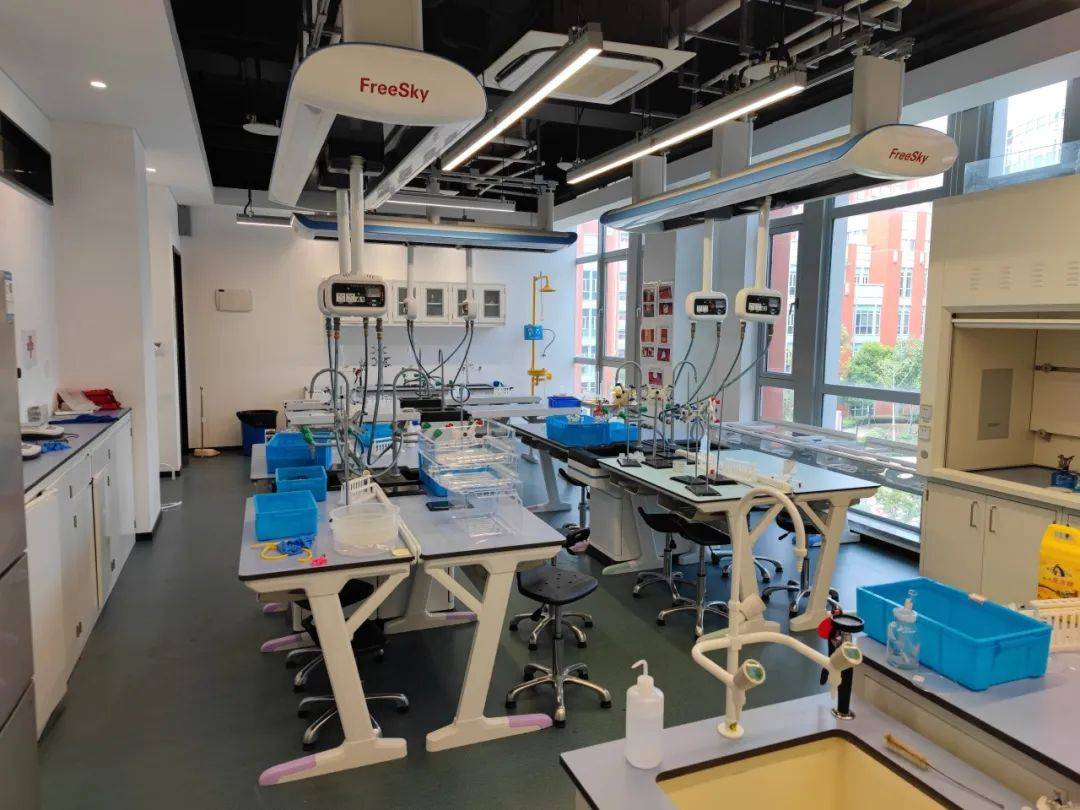 家電與通信設備進口報關流程與代理服務詳解